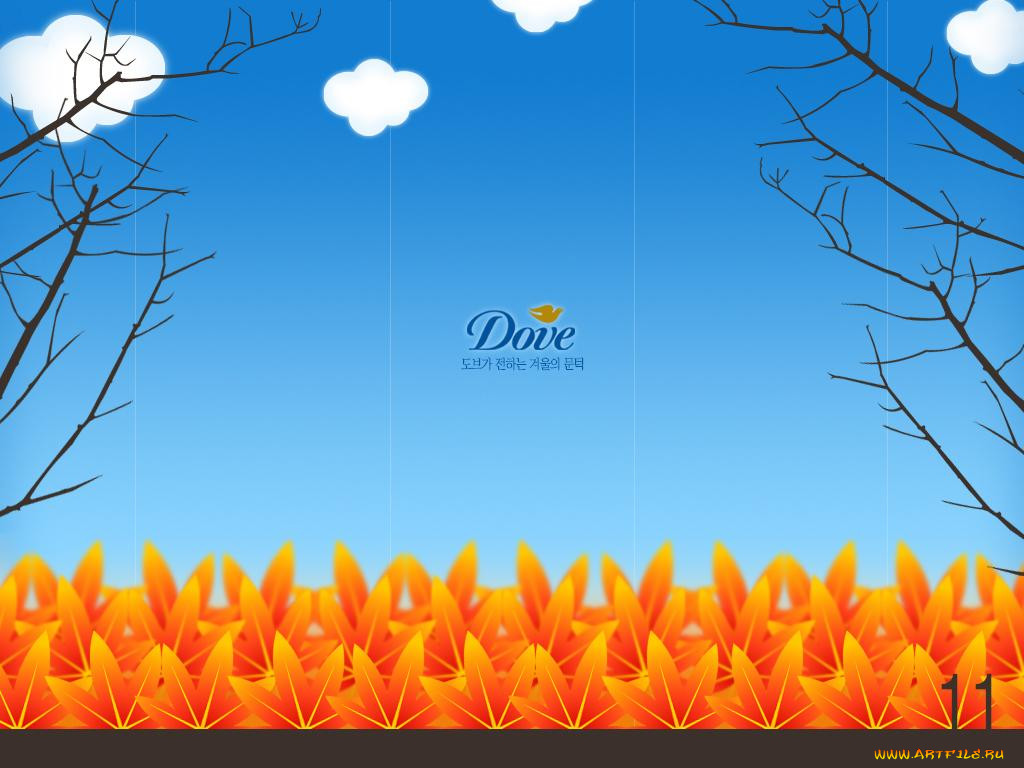 , dove